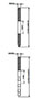 Double Pitch Sprockets 1 Pitch TypeA - Dimensional Drawing